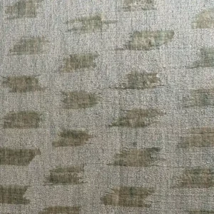 Lichen - alternate view